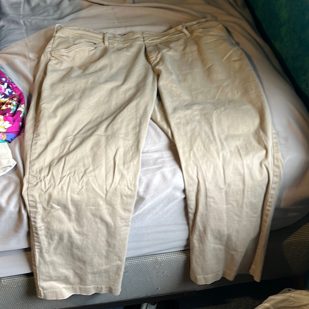 Woman’s Lee straight leg pant size 22 petite